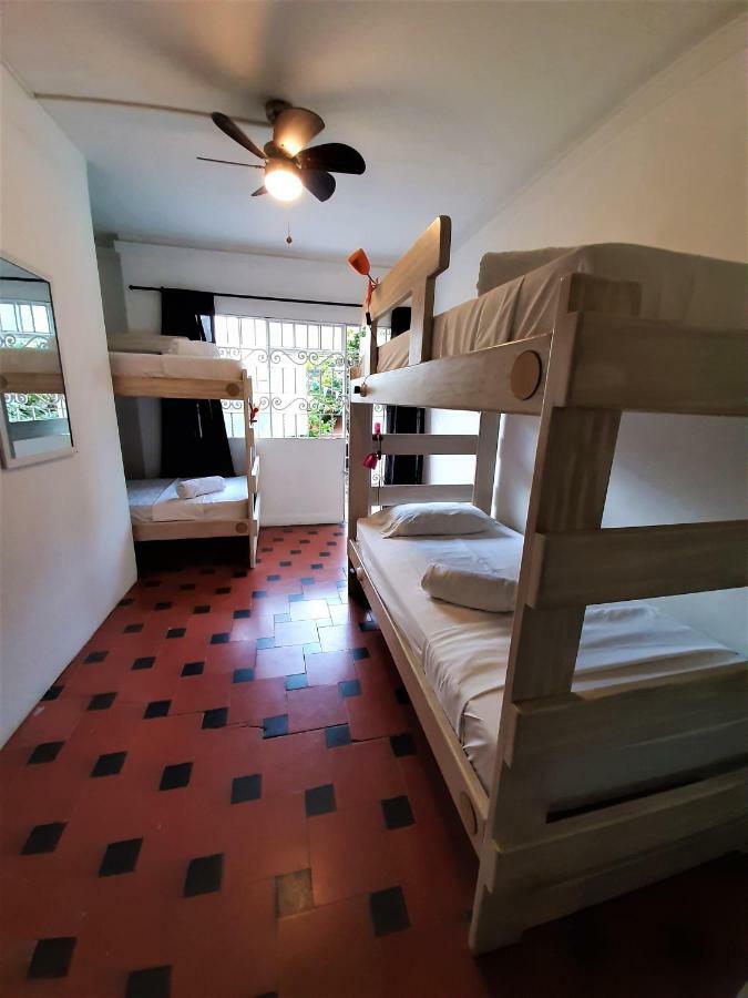 Bunk Bed in Mixed Dormitory Room,889611181:JPEG