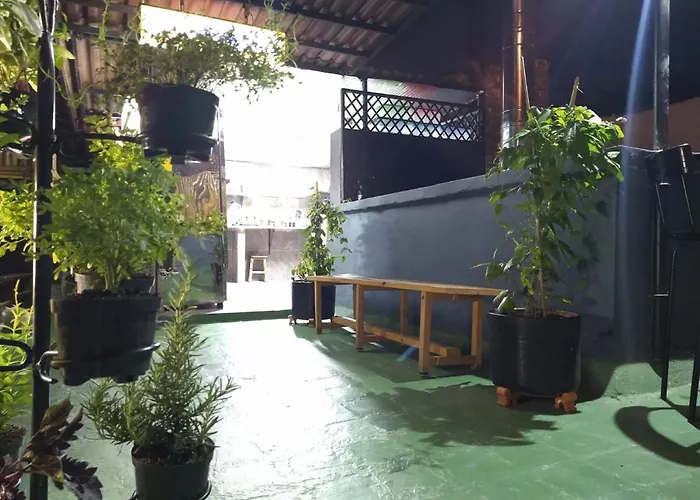 The Sugar Cane Hostel Medellin